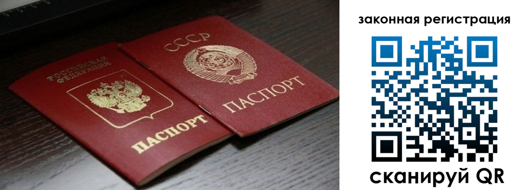 прописка поиск в Чудово